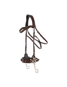 Cuerda de cuero natural suave DD negra/marrón para caballo árabe, halter con accesorios de latón SS, juego de cadena de cuero, tamaños personalizables - Product Image 1