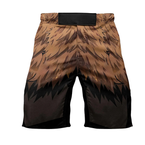 Premium Quality High Grade MMA Gym Boxing Shorts For Men Plus Size Custom Design MMA Shorts OEM Serviced Design - Product Image 1