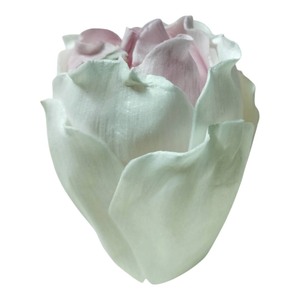 VADEE SOLA WOOD <b>FLOWER</b> SET ROSE <b>Diffuser</b> 6.5CM Color Soft Pink Sesbania Plant Fiber Rod Aromatherapy Handmade Sustainable Craft - Product Image 1