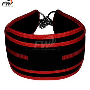 Cinturón de soporte lumbar personalizado de neopreno resistente, antideslizante y cómodo para levantamiento de pesas, dips y dominadas. - Product Image 1