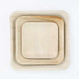 Nouvelles Assiettes Carrées Élégantes en Feuilles de Palmier Biodégradables de 6 Pouces pour Dégustations Écologiques, Plats de Dégustation et Petits Collations 2026 - Product Image 1