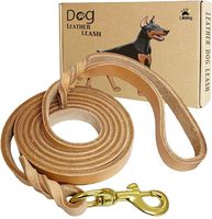 Laisse pour chien robuste en cuir véritable de qualité supérieure, laisse de dressage pour chien, corde de course, laisse en cuir à glissière pour chien