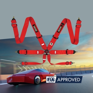 Brand Wholesale TBRACING ECO FIA Approved 6 Point Motorsport Harness 16 Colors Webbing OEM ODM Custom Service Supply - Product Image 1