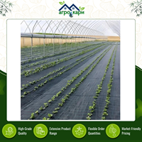 Géotextile anti-herbe résistant aux déchirures et stabilisé aux UV, couverture de sol tissée en PP pour l'agriculture, l'aménagement paysager et les pépinières