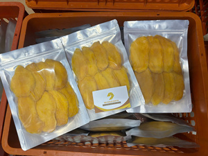 Rodajas de Mango Secas al Aire de Vietnam – Fruta Tropical Suave y Masticable para Venta al por Mayor y Marca Privada - Product Image 1