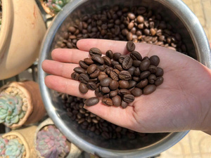 Cold Brew Roasted <b>Coffee</b> <b>Beans</b> Coarse Grind Available Smooth Flavor Low Bitterness Best for Refreshing Drinks - Product Image 3
