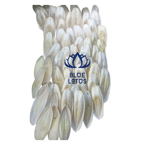 BEST SELLING BLUE LOTUS Sustainable High Quality Cuttlefish Bone Pure High Calcium Mineral Food Supplement for Birds Bulk Export - Product Image 5
