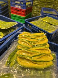 Avocat surgelé IQF de haute qualité à prix compétitif |   Avocat congelé pour smoothies, guacamole et fabrication alimentaire - Ms. Grace - Product Image 2
