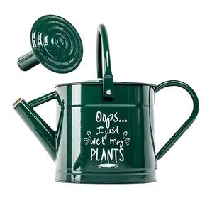 Meilleures ventes : Arrosoir en fer pour plantes d'intérieur et d'extérieur, support décoratif pour fleurs, pot de jardin vert foncé - Product Image 1