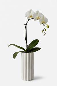 Vase de table en métal fait main avec motif floral, design traditionnel, blanc et vert, pot décoratif - Product Image 2