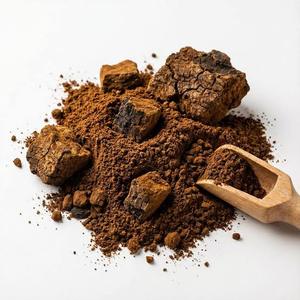 Polvo de Hongo Chaga Silvestre Orgánico, Molido Finamente, Superalimento Herbal Rico en Antioxidantes para el Apoyo Inmunológico, Desintoxicación y Salud Diaria - Product Image 1