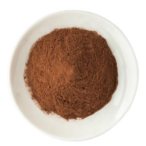 Premium Quality Pure Ganoderma Lucidum Powder 100% Natural Herbal Reishi Mushroom Powder for Immune Support & Energy Balance - Product Image 1