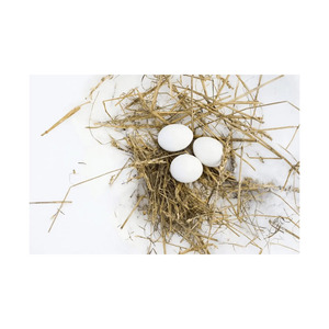 Huevos de gallina frescos de granja, con cáscara blanca, de colores variados, origen de la granja, a la venta a precio económico. - Product Image 1