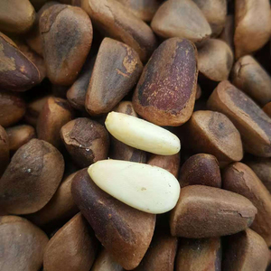 Pignons de pin de qualité supérieure en vrac, qualité alimentaire, stock disponible, fournisseur d'exportation de confiance - Product Image 4