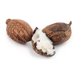 Aceite de Babassu |   Proveedor Mayorista de Aceites Portadores Premium, Fabricante de Marca Privada OEM - Product Image 5