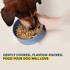 Nourriture humide pour chien végétalienne, biologique, premium, à base de plantes, en conserve, nutrition animale, riche en protéines, sans céréales, sans cruauté, export en vrac, OEM/ODM - Product Image 6