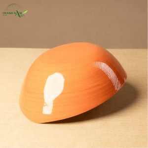 Bol en bambou jetable minimaliste et écologique, pressé naturellement, avec revêtement de couleur personnalisé pour le service alimentaire - Product Image 4