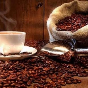 กาแฟออร์แกนิคคุณภาพเยี่ยมจากเวียดนาม เมล็ดอาราบิก้าผ่านการล้างสะอาดหมดจด จำหน่ายส่งและคั่วเมล็ดกาแฟสำหรับผู้ซื้อระดับโลก - Product Image 2