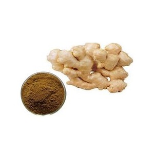 Food Grade Wild <b>Ginger</b> Root Extract <b>Powder</b> 10% Gingerols High Potency Spray Dried Natural Herbal Supplement Bulk Packaging India - Product Image 5