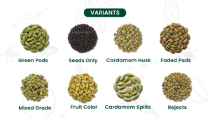 <span class=keywords><strong>Cardamomo</strong></span> Verde <span class=keywords><strong>Jumbo</strong></span>, Cápsulas Verdes Naturales Limpias y Premium, Calidad de Exportación, 8mm, Precio al por Mayor Disponible - Product Image 5
