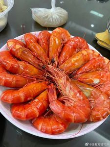 Garnelenschalenpulver in großen Mengen für Fischfutter, Garnelenfutter und Aquakultur-Nahrungsergänzungsmittel vom vietnamesischen Hersteller für globale Käufer. - Product Image 3
