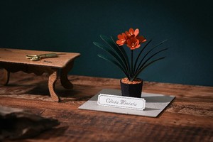 Forever Green Clivia Miniata DIY Paper Craft Kit 4R Decoración en miniatura para La mente creativa - Product Image 6