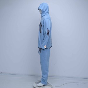 Light Blue Hooded Tracksuit Full Sleeve Solid Color Casual Winter Wear Regular Fit Side Pockets Drawstring Closure Windproof - Product Image 3