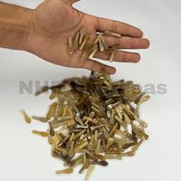 Pointes de corne de buffle blanches claires pour la fabrication de montures de lunettes de haute qualité, composants naturels pour lunettes NHE Overseas