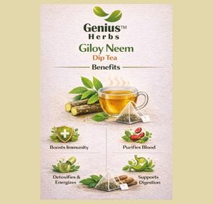 Las bolsitas de té Natural Detox Giloy Neem ofrecen una bebida herbal refrescante que ayuda a fortalecer la inmunidad. - Product Image 3
