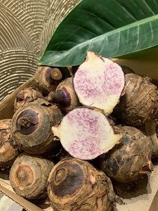 Mejor Precio, Taro Congelado IQF al Vacío, Bolsa de 500g, Raíz de Taro Natural de Vietnam para Preparación de Salsas y Cocina, Vietnam por 99 Gold Data - Product Image 4