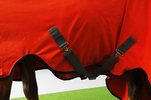 Manta/alfombra de invierno personalizada para caballo BRAND ZONE Equestrian, manta impermeable para caballo 600D con relleno aislante de 300g - Product Image 4