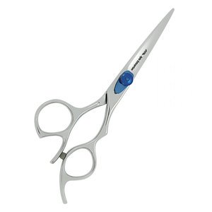 Tijeras Profesionales de Acero Inoxidable para Cortar y Peinar el Cabello en Color Plateado con Tornillo de Ajuste Azul, Tijeras de Peluquero Afiladas - Product Image 2
