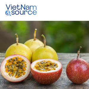 Vente en gros de produits agricoles fruits de la passion frais et biologiques des supermarchés et restaurants du Vietnam - Product Image 2