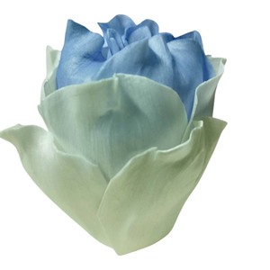 VADEE SOLA WOOD <b>FLOWER</b> SET ROSE <b>Diffuser</b> 6.5CM Color Soft Green Sesbania Plant Fiber Rod Aromatherapy Handmade Sustainable Craft - Product Image 1