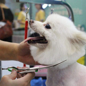 High Quality Pet Grooming <b>Scissors</b> <b>Curved</b> Professional Grooming <b>Scissors</b> - Product Image 6