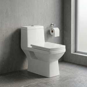 Latest Home Hotel And Hospital Use Ceramic Sanitary Ware Products Rimless One Piece Toilet Seat - Product Image 2