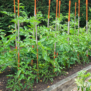 เสาไฟเบอร์กลาส FRP สะท้อนแสงสำหรับปักหิมะ ขนาด 48 นิ้ว ความยาวสั่งทำได้ ใช้เป็นเครื่องหมายทางเข้า-ออก หรือที่จอดรถ พร้อมเทปสะท้อนแสง - Product Image 6