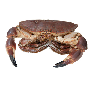 Crabe royal congelé / crabes royaux des neiges / pattes de crabe royal - Product Image 1