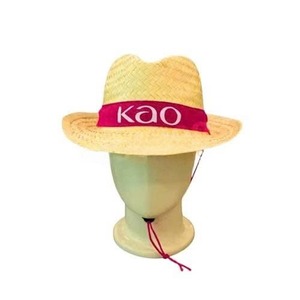 Sombrero de Paja Panamá con Logotipo Personalizado a Precio Competitivo – Sombrero a Rayas Elegante para Hombre y Mujer, Ideal para Viajes a la Playa - CARYLN - Product Image 1