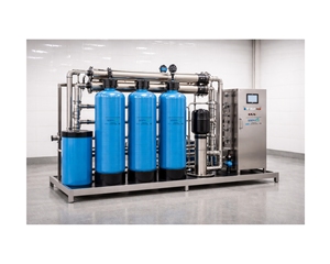 Planta de Ósmosis Inversa Industrial de 4000 L/Hora con Tecnología de Membrana |   Sistema de Tratamiento de Agua por Ósmosis Inversa con Garantía de 3 Años - Product Image 3