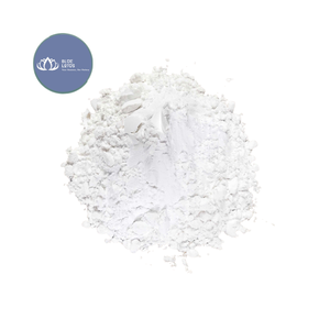 MÁS VENDIDO: Almidón de Tapioca de Grado Industrial de Alta Calidad, Polvo de Yuca al por Mayor - Product Image 1