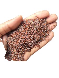 Graines de moutarde - 100% pures et naturelles pour la préparation des aliments - Product Image 4