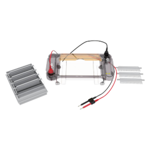 جهاز كهروفيزياء الجل الأفقي متعدد الوظائف للمختبرات مع أزرار سهلة الفتح - Product Image 3