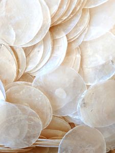 เปลือกหอยคาปิซธรรมชาติคุณภาพสูงสำหรับงานตกแต่ง DIY ของตกแต่งบ้าน ขายส่งจากผู้ผลิตในเวียดนาม - Product Image 4