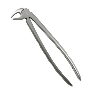 ARISTON INTERNATIONAL Forceps d'extraction dentaire de haute qualité, modèle anglais, en acier inoxydable, pince manuelle certifiée CE - Product Image 1