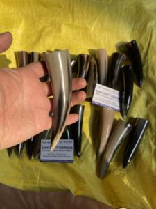 Punta de Cuerno de Búfalo Natural, Color Natural, Alta Calidad - Product Image 3