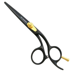 Professional Beauty Instrument by Apto Enterprises Durable <b>Tool</b> Titanium Coating Stainless Steel Hair Cutting Scissors - Product Image 1