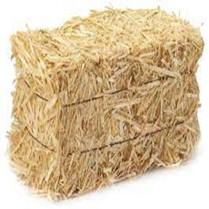 Paja DE TRIGO puro original, heno de trigo, heno de paja de trigo - Product Image 5
