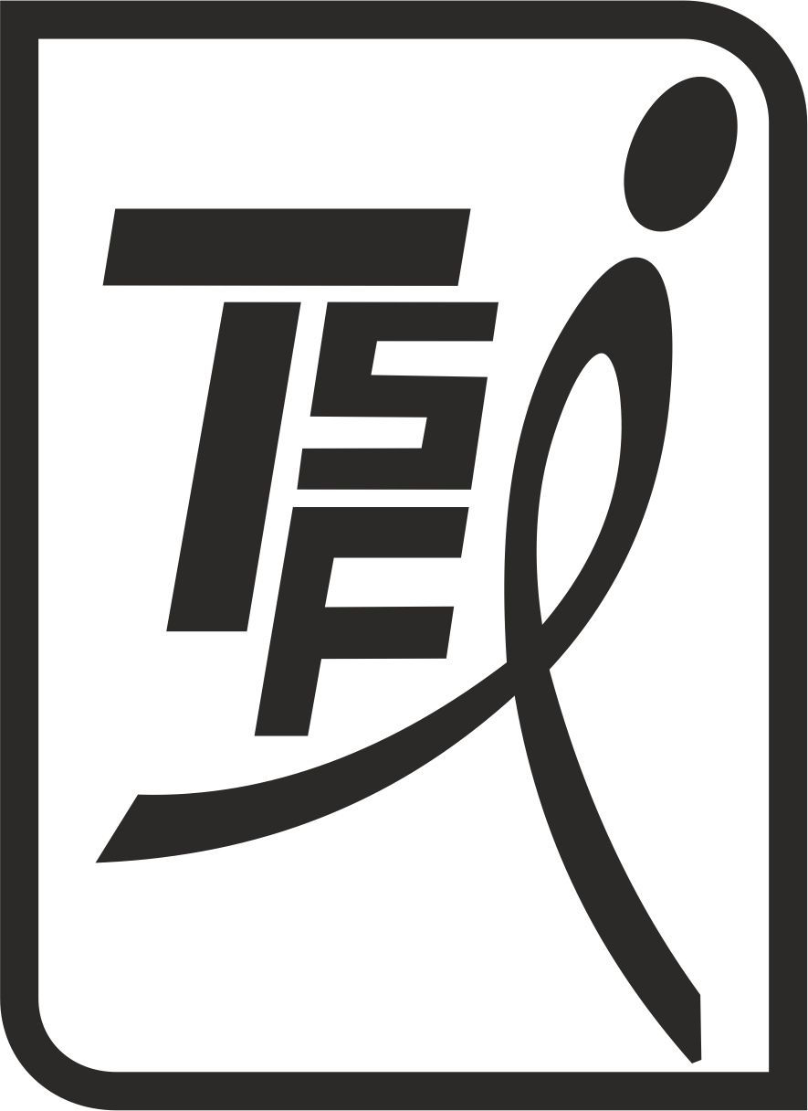 THE SPORTS FACTORY INTERNATIONAL logo