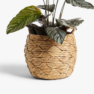 ตะกร้าใส่น้ำผักตบชวาสานสำหรับปลูกต้นไม้ - Product Image 3
